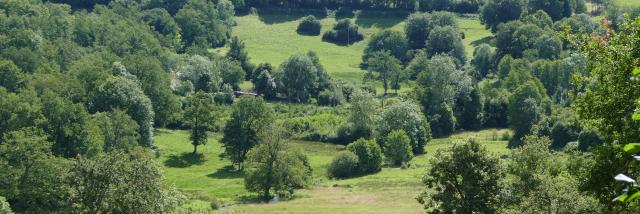 Paysage - Environs de Crocq