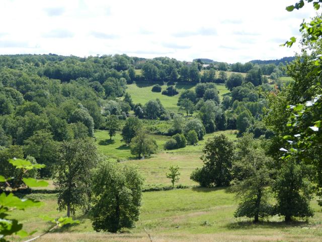 Paysage - Environs de Crocq