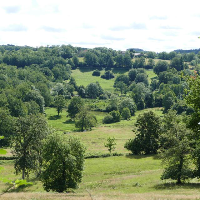 Paysage - Environs de Crocq
