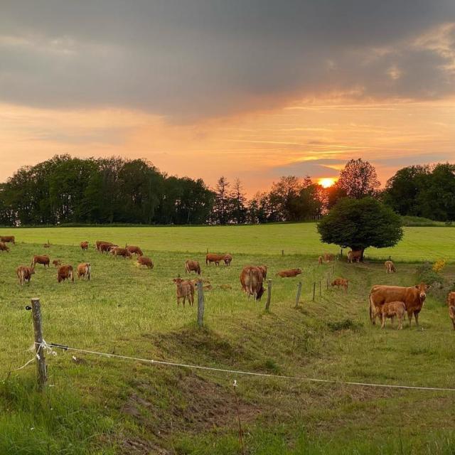Instagram #creuse
