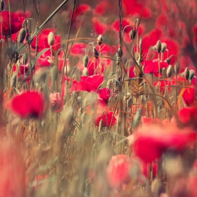 Instagram #ilovecreuse
