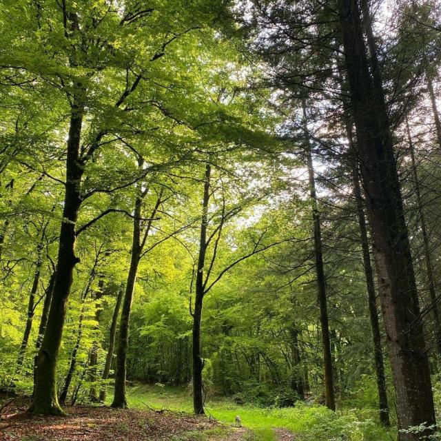 Instagram #ilovecreuse