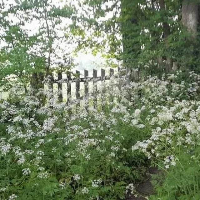 Instagram #ilovecreuse