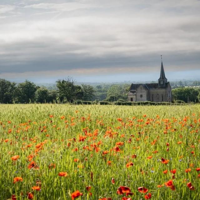 Instagram #creuse