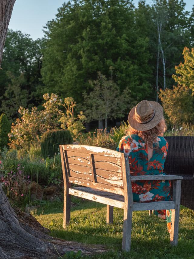Domaine de la Jarrige - coucher de soleil au jardin
