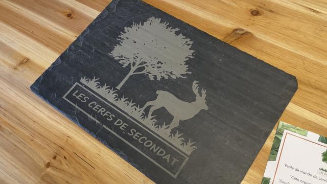Cerfsdesecondat5