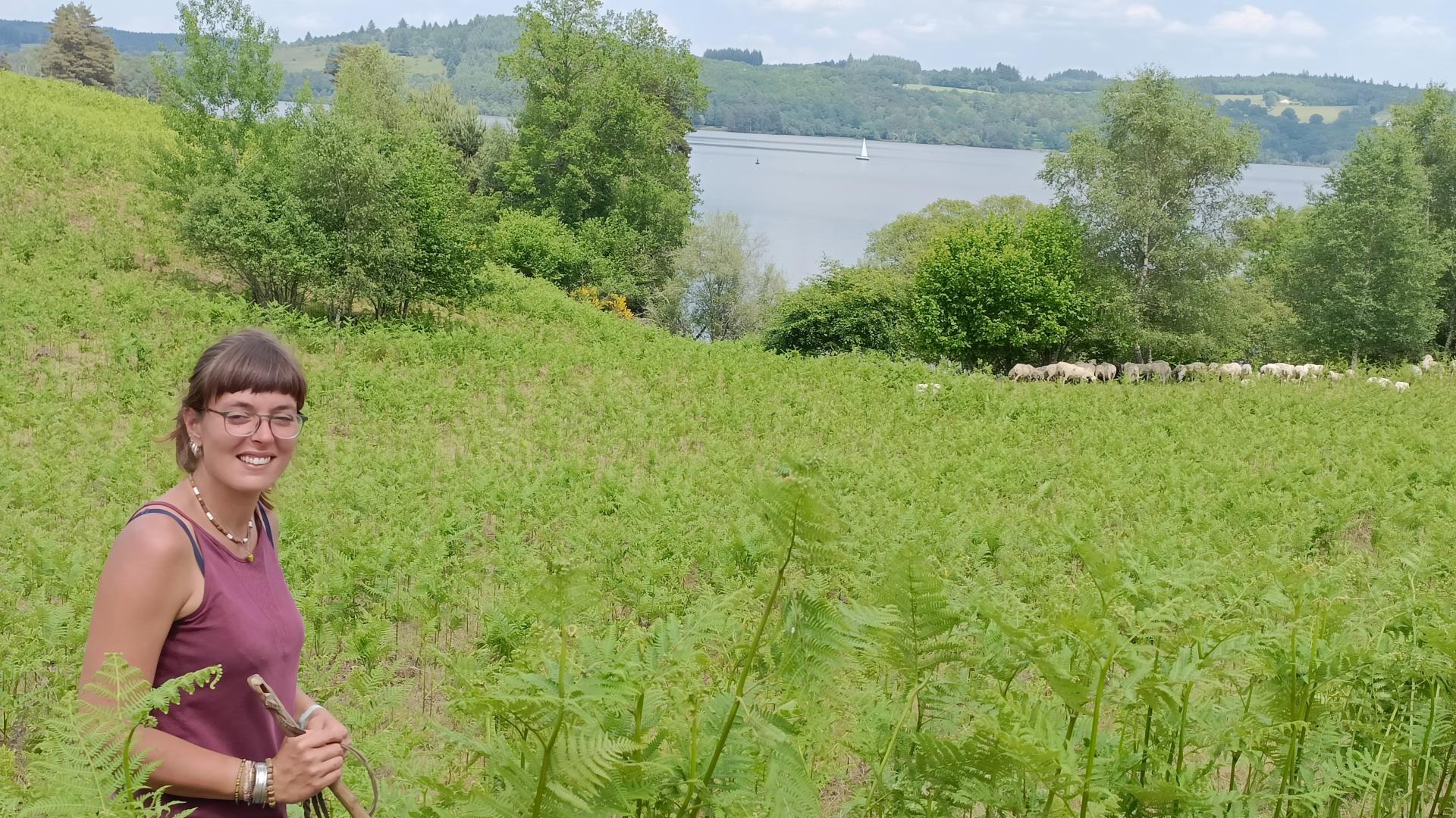 pastoralisme lac de Vassivière