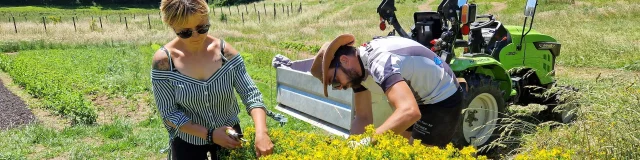 Natorel -Visite de l'exploitation Natorel - Plantes comestibles et médicinales dans la Creuse à Faux la Montagneorel