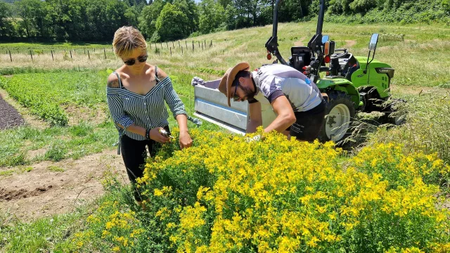Natorel -Visite de l'exploitation Natorel - Plantes comestibles et médicinales dans la Creuse à Faux la Montagneorel