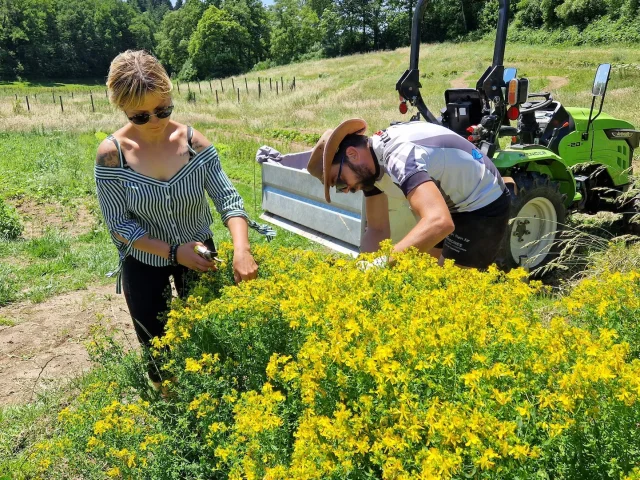Natorel -Visite de l'exploitation Natorel - Plantes comestibles et médicinales dans la Creuse à Faux la Montagneorel