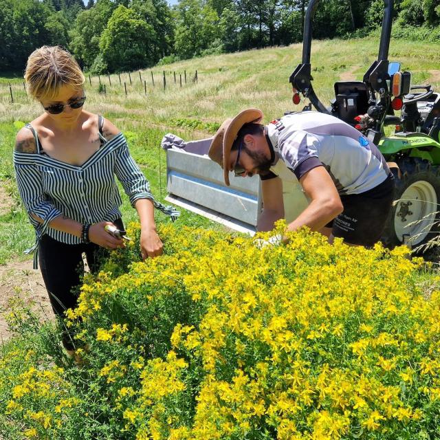 Natorel -Visite de l'exploitation Natorel - Plantes comestibles et médicinales dans la Creuse à Faux la Montagneorel