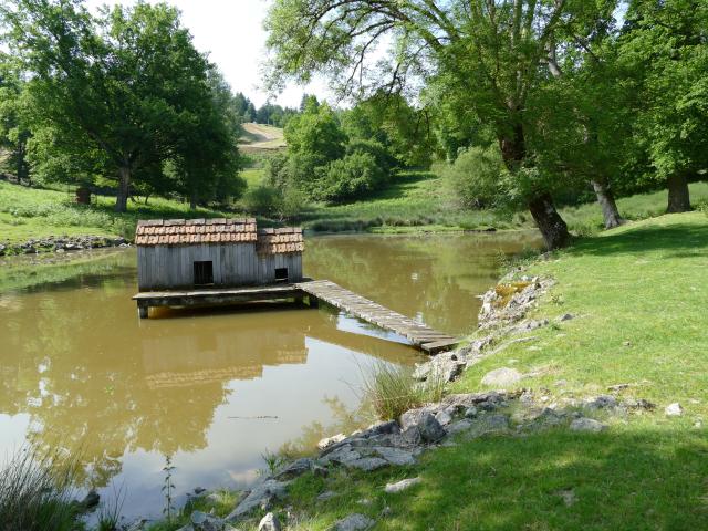 Parc De Coux 100 B