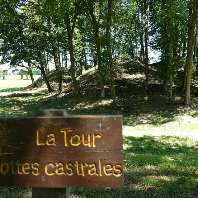 ST DIZIER LA TOUR - Mottes Castrales