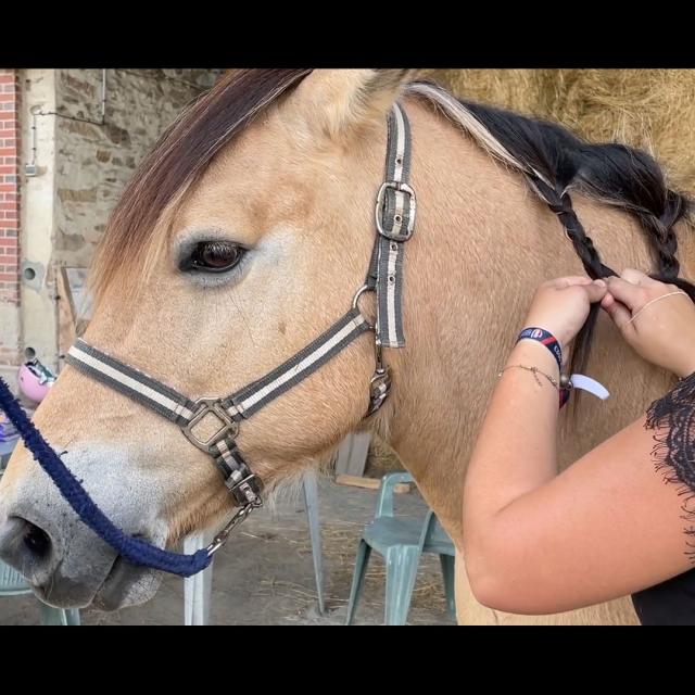 Cheval Centre Equestre Creuse