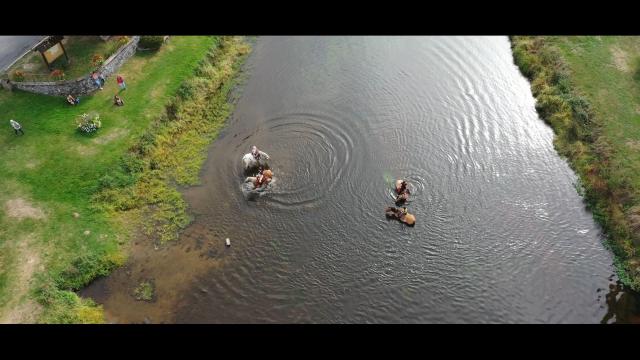 Chevaux Dans La Creuse