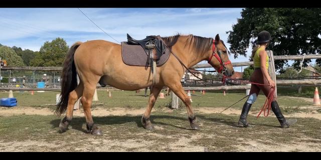 Equitation Paradis De Pablo Creuse