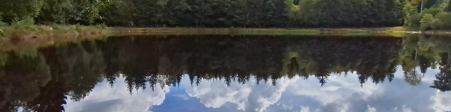 Etang De Peche Dans La Creuse 1