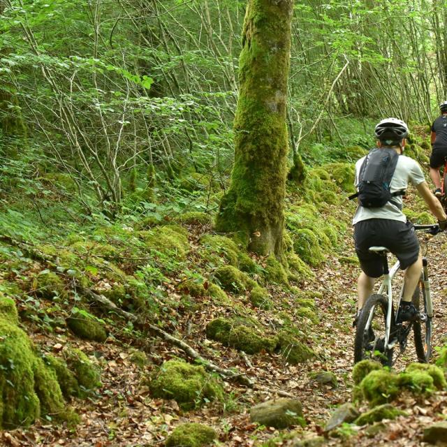 Forêt d'Epagne-equitation-vtt-rando-Syndicat Mixte du Pays Sud Creusois-02/07/2016
