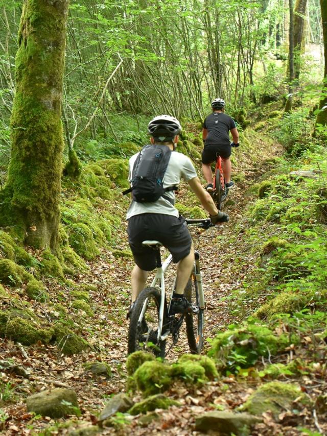 Forêt d'Epagne-equitation-vtt-rando-Syndicat Mixte du Pays Sud Creusois-02/07/2016