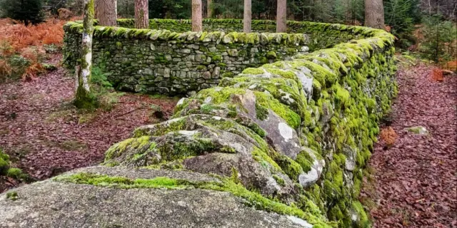 ile De Vassiviere ©Legoupil David