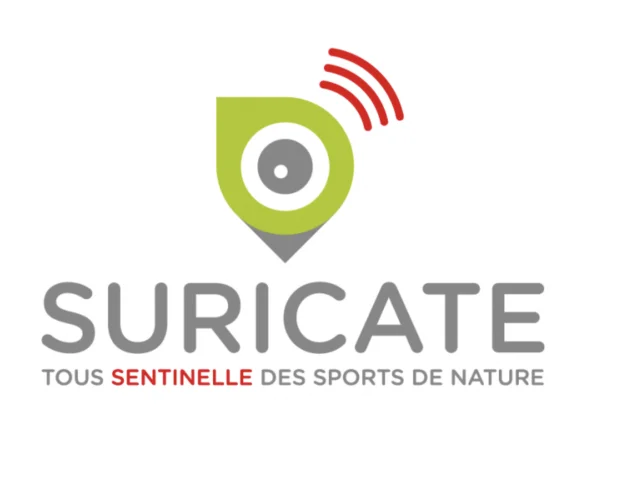 suricate