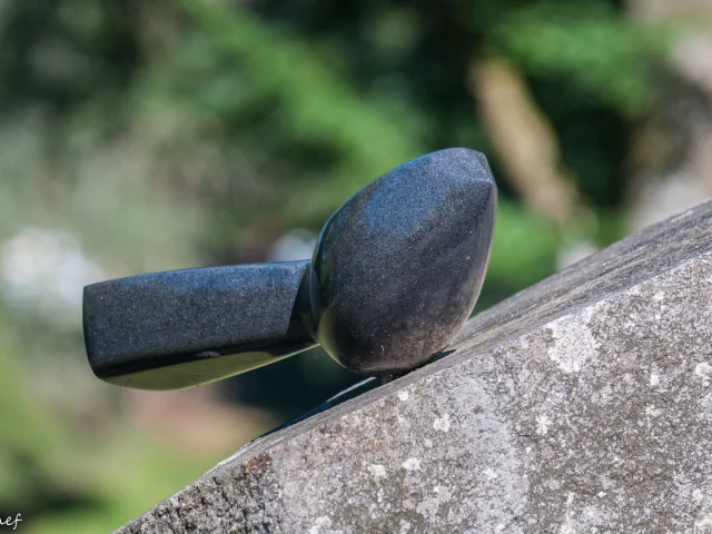 Ile Vassiviere©jicehef