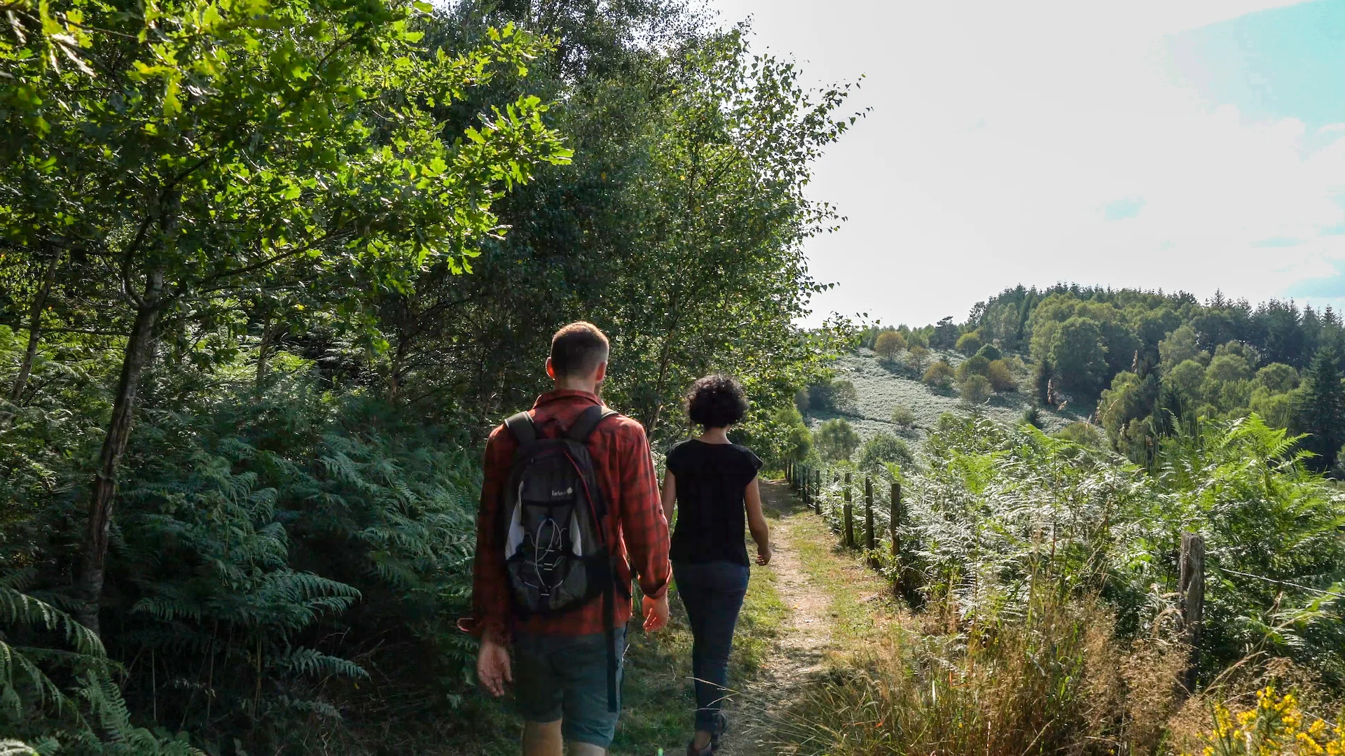 Pnr Randonnee Chemin Plateau Saison D Or3