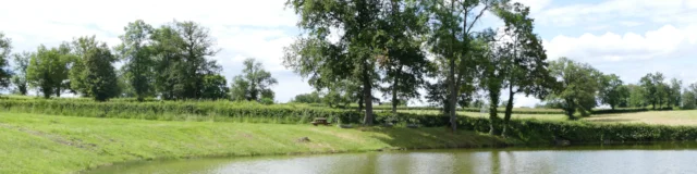 Reterre Etang De Peche Fonds Du Mont