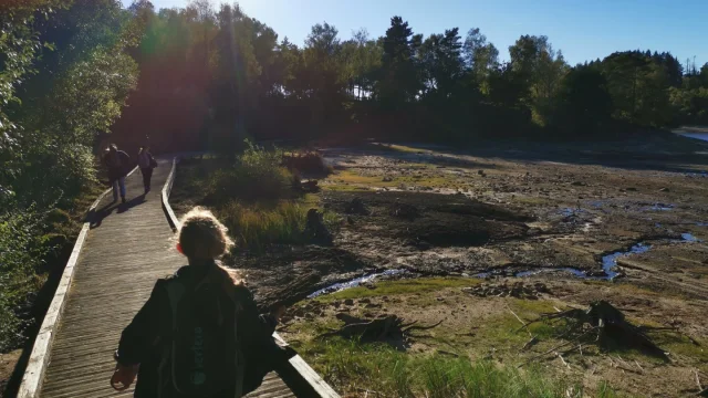 Cerf volant Vassivière