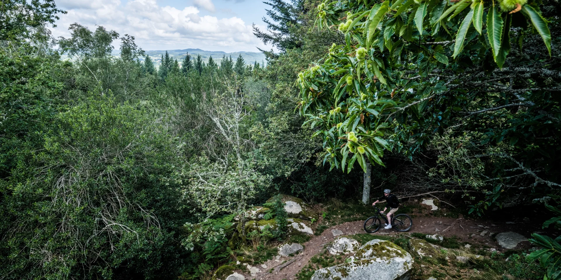 Header - Monts de Guéret