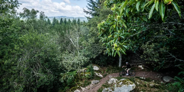 Header - Monts de Guéret