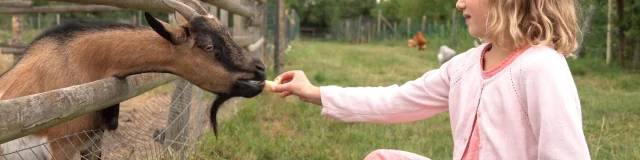 La Ferme Des Clautres Creuse Saison Dor