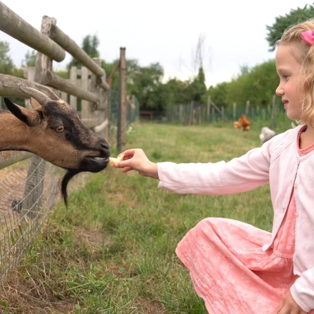 La Ferme Des Clautres Creuse Saison Dor