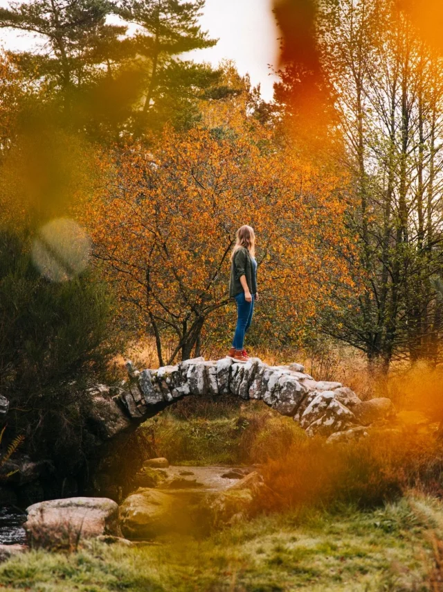Pont de Senoueix à Gentioux - ©Clara Ferrand
