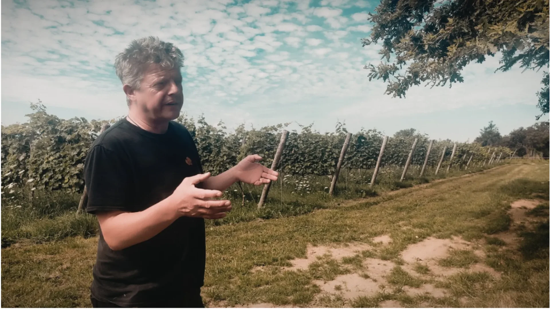 Geoffrey Estienne - Vin Nu producteur de vin en Creuse