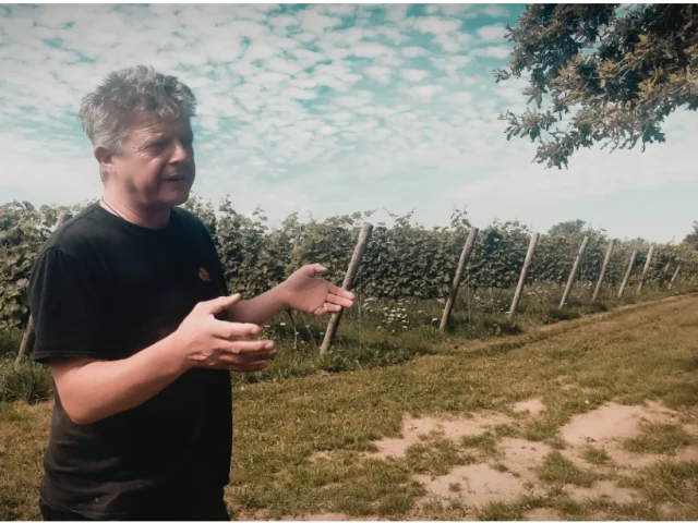 Geoffrey Estienne Vin Nu
