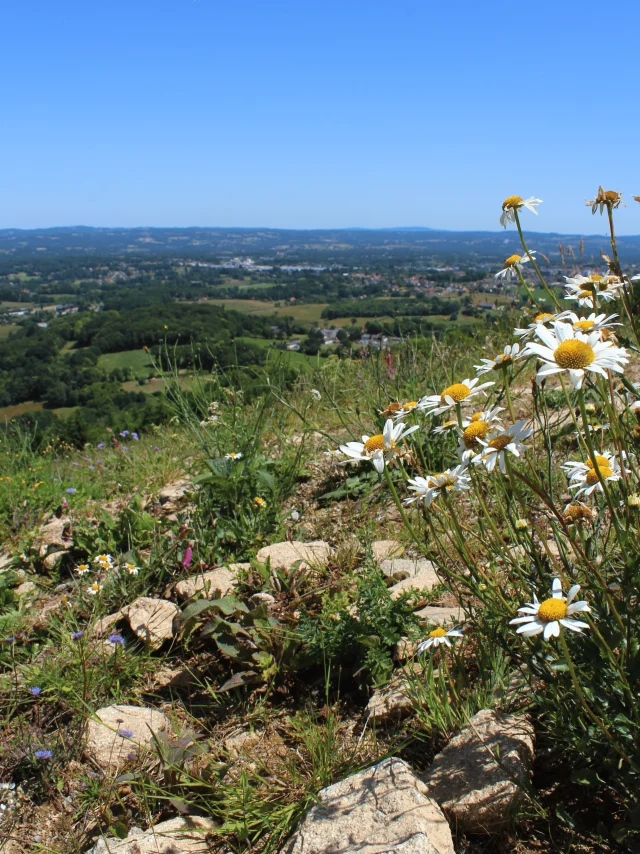 Paysage - Monts de Guéret