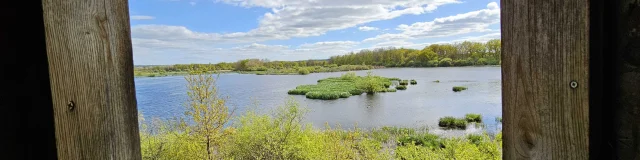 Réserve Naturelle de l'étang des Landes en creuse