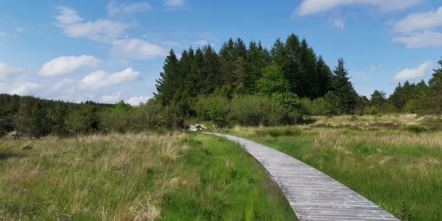 Océan vert