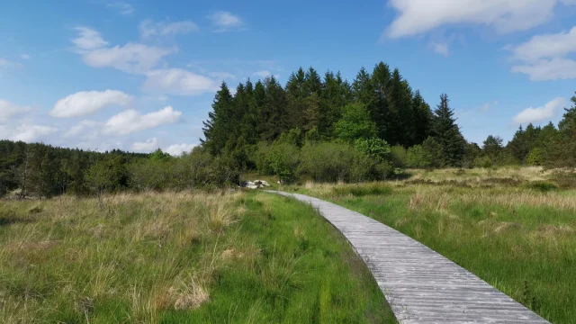 Océan vert