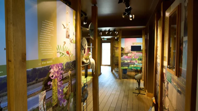 Réserve Naturelle de l'étang des Landes - Maison de la Réserve - Lussat dans la Creuse