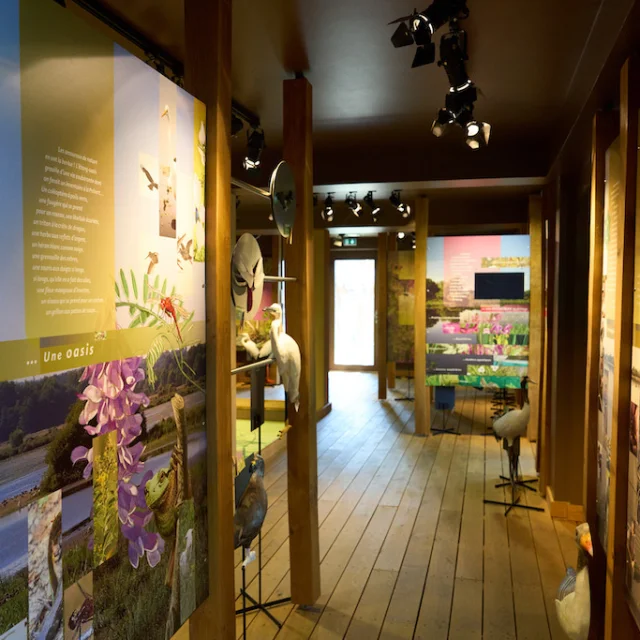 Réserve Naturelle de l'étang des Landes - Maison de la Réserve - Lussat dans la Creuse