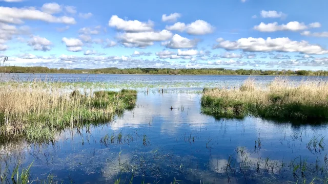 Reserve Naturelle De Letang Des Landes Credit Creuse Tourisme