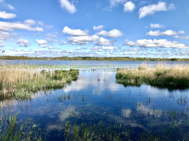Reserve Naturelle De Letang Des Landes Credit Creuse Tourisme