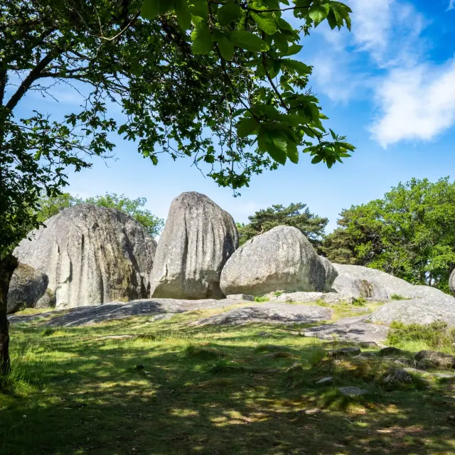 Toulx Sainte Croix en Creuse - Site naturel des Pierres jaumâtres
