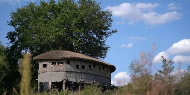 Réserve naturelle de l'étang des Landes - Lussat - Creuse