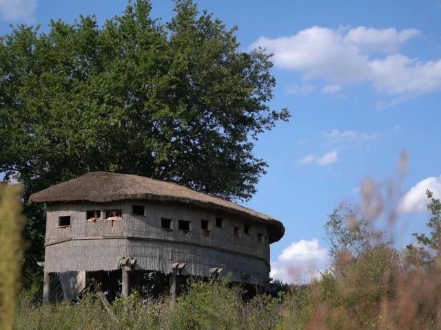 Réserve naturelle de l'étang des Landes - Lussat - Creuse