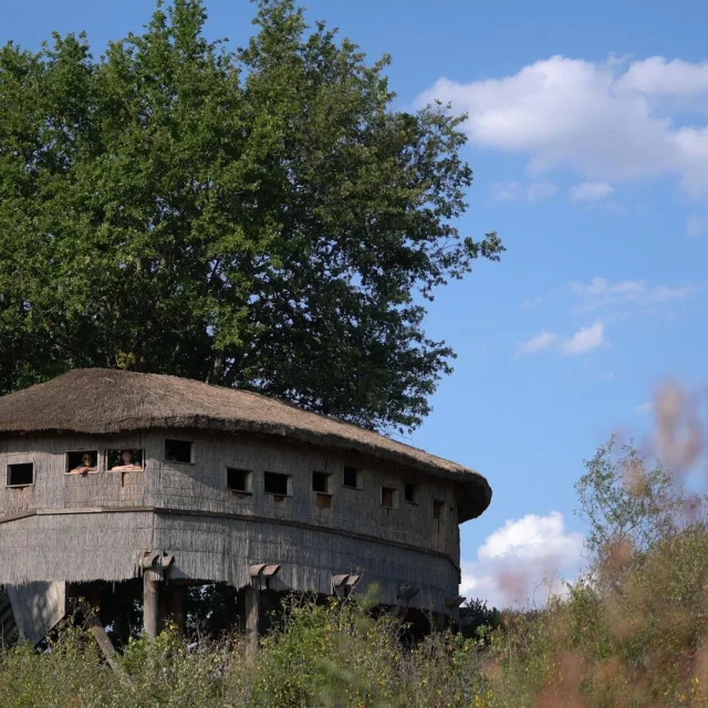 Réserve naturelle de l'étang des Landes - Lussat - Creuse