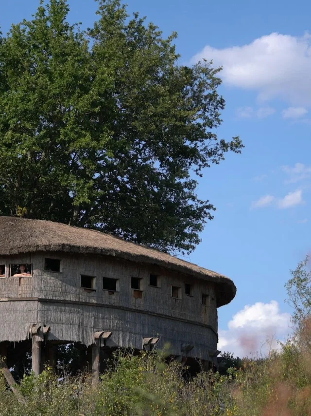 Réserve naturelle de l'étang des Landes - Lussat - Creuse