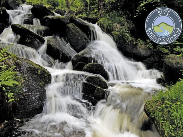 Sites Rivières sauvages - cascades d'Augerolles dans la Creuse - Saint Pardoux Morterolles